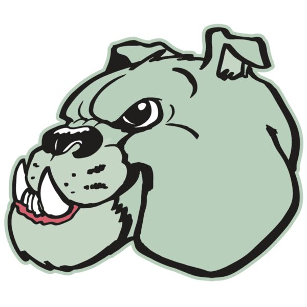 AR BDOG 29 RC Thumbnail